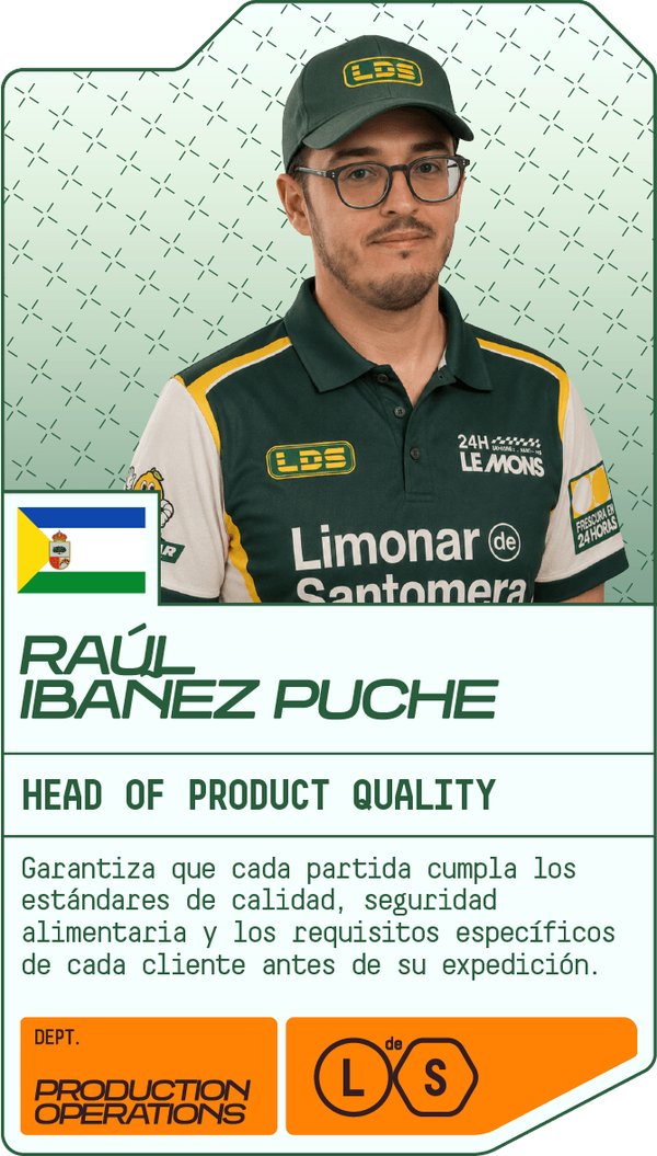 Raúl Ibáñez Puche — Head of Product Quality